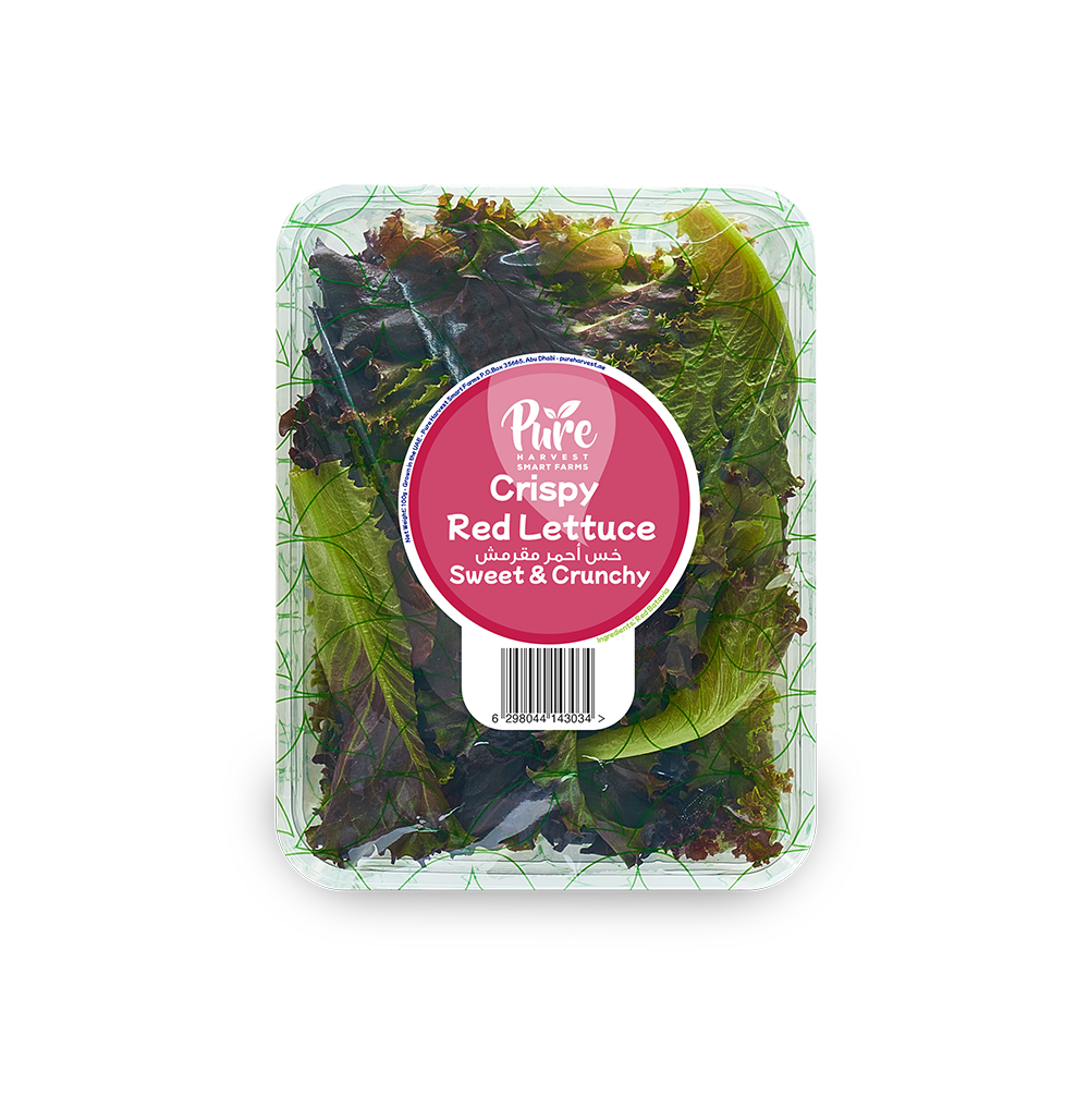 Crispy Red Lettuce